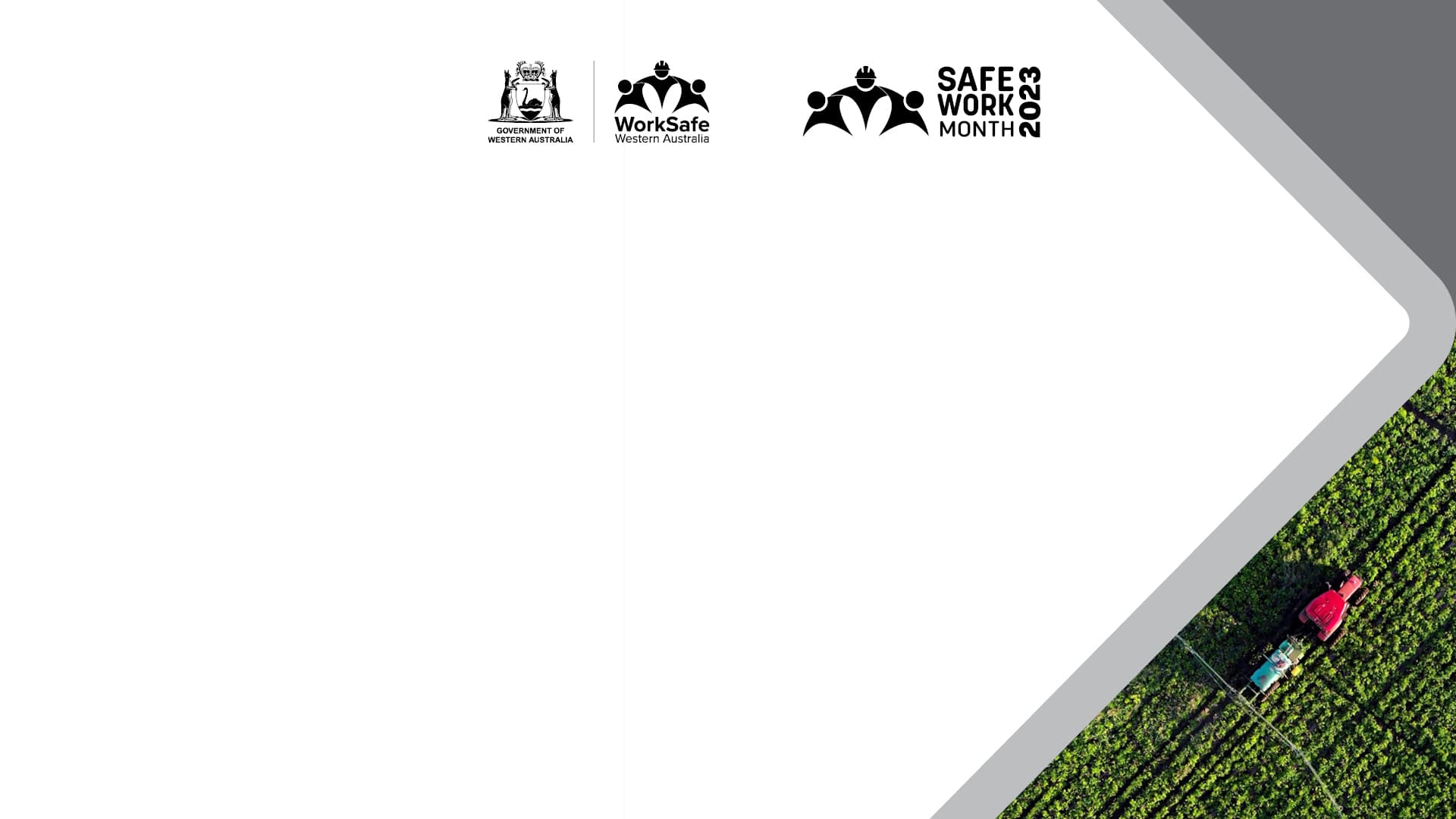 sowing the safety seeds banner