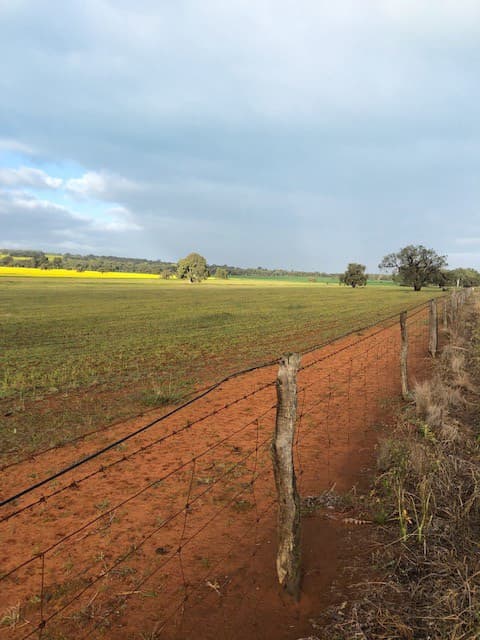 wheatbelt farm